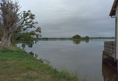 Tour Wandern Saint-Michel-en-Brenne - étang du couvent  - Photo