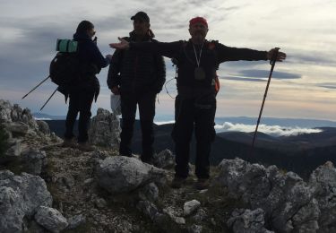 Trail Walking Caille - Crête de Bauroux  - Photo