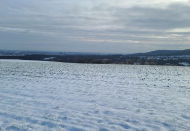 Tocht Stappen Saulny - saulny gds journeaux  - Photo