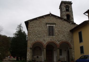 Randonnée A pied Vaglia - Sentiero dei Castelli - Photo