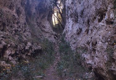 Tocht Trail Belgentier - Les aiguilles de Valberg et une arche - Photo