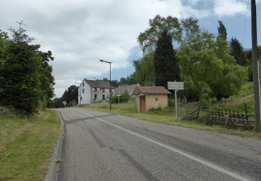 Excursión A pie Volksberg - Losange vert - Photo