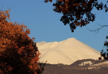 Trail On foot Rieti - Lugnano - I Tre Faggi - Photo