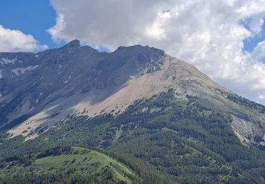 Trail Walking La Roche-des-Arnauds - Pic Chauve - Photo