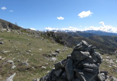 Tour Wandern Beuil - Mont Démant - Photo