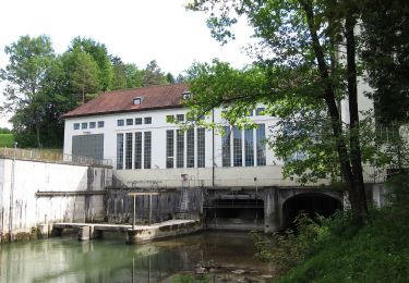 Tour Zu Fuß Sindelsdorf - Rundweg 14 Süd - Photo