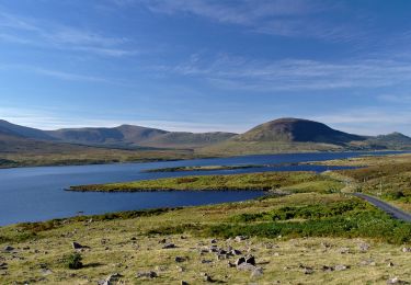 Trail On foot Westport-Belmullet Municipal District - Furnace Loop - Mayo - Photo