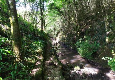 Excursión Senderismo Saint-Benoît - St Benoît - Photo