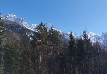 Trail Walking Chamonix-Mont-Blanc - Chamonix Base hélicoptère  - Photo