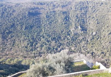 Randonnée Marche Saint-Cézaire-sur-Siagne - Chapelle Saturnin et bord de Siagne - Photo