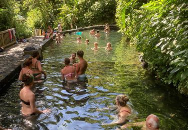 Percorso Marcia Saint-Claude - La Soufrière (retour) - Photo