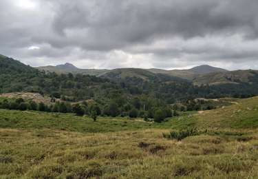 Trail Walking Zicavo - Bergeries - Photo
