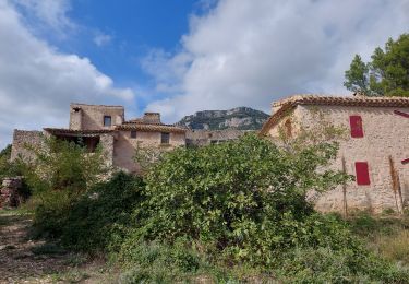 Tour Wandern Saint-Guilhem-le-Désert - Roc de la Vigne  - Photo