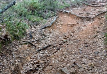 Trail Walking Villars - 84-villars_ocres_bruyere_8km200m - Photo