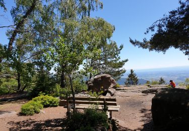 Trail Walking La Vancelle - Les Hauts de La Vancelle - Photo