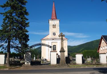 Randonnée A pied Kunčice pod Ondřejníkem - Místní zelená trasa KČT - Photo