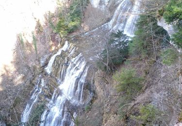 Tour Wandern La Chaux-du-Dombief - Hérisson 28-2-21 - Photo