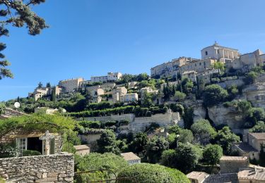 Randonnée Marche Gordes - Gordes - Abbaye de Senanques 13km - Photo