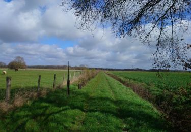 Trail Walking Sainte-Catherine-de-Fierbois - Sainte-Catherine-de-Fierbois - GR655 - 21.1km 100m 4h25 (24mn) - 2021 03 14 - Photo