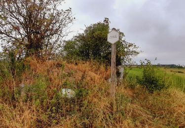 Trail Walking Cerfontaine - Senzeilles- Promenade de Beau Château  - Photo
