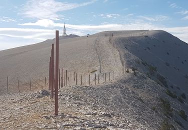 Trail Walking Bédoin - le ventoux - Photo