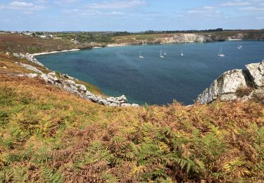 Tocht Stappen Camaret-sur-Mer - Boucle au départ de Camaret - Photo