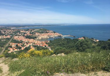 Tour Wandern Port-Vendres - Port vendres - Collioure par la route des crêtes  - Photo