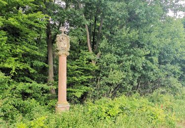 Tour Zu Fuß Rasdorf - Rasdorf - Rhön-Rundweg 2 - Photo