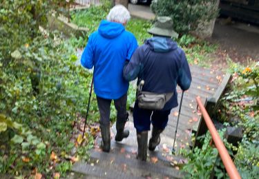 Tour Wandern Rendeux - Rendeux - Photo