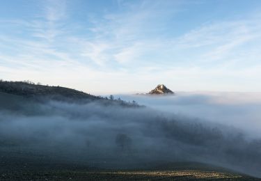 Trail On foot Canossa - Cavandola - Votigno - Bergogno - Cavandola - Photo