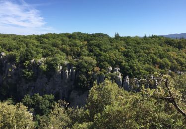 Excursión Senderismo Les Vans - 2019 - ES - Païolive et Gorges du Chassezac - 11,7km - Longue V2 - Photo