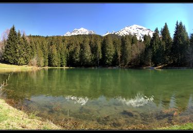 Randonnée Marche Revel - Mont Morel - Photo