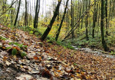 Tocht Stappen Vresse-sur-Semois - Membre - Vresse - Photo