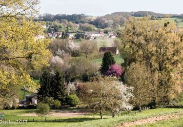 Trail Walking Bretoncelles - SityTrail - Les ponts de la Corbionne Bretoncelles 7,7 Km - Photo