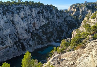 Tocht Stappen Cassis - Cassis calanque port pin calanque d'en Vau - Photo