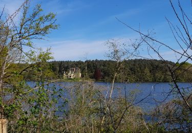 Trail Walking Allonnes - MAINE ET LOIRE: LE GUE DE LOUET - Photo