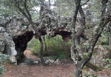 Trail Walking Malataverne - Donzère -falaises-Navon-ruines 15km - Photo