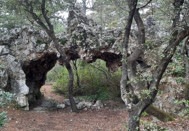 Tocht Stappen Malataverne - Donzère -falaises-Navon-ruines 15km - Photo