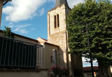 Percorso Marcia Mizérieux - Mizerieux, les grands Chambons - Photo