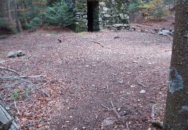 Randonnée Marche Arphy - Cap de Côte - Photo