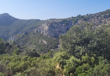 Tocht Stappen Auriol - Auriol le col des Seignors  - Photo