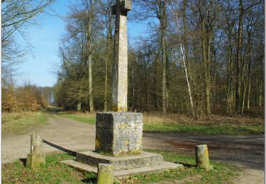 Tour Wandern Pont-Sainte-Maxence - balade printanière  halatte nord ouest - Photo
