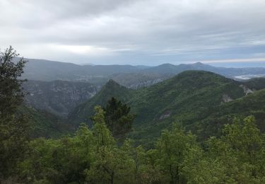 Randonnée Marche Revest-les-Roches - Vial - Photo