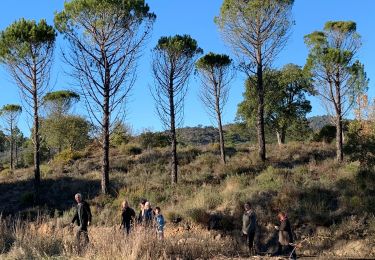 Trail Walking Fréjus - z mines de Boson 14-12-21 - Photo