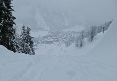 Randonnée Raquettes à neige Pralognan-la-Vanoise - Pralognan Les Fontanettes - Photo