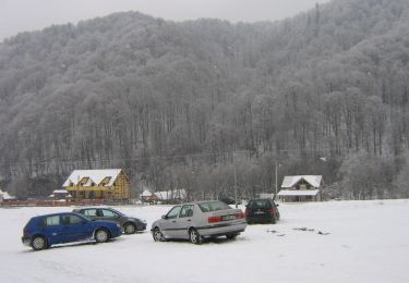 Trail On foot Sovata - Săcădat - Valea Gurghiului - Photo