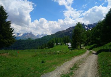 Percorso Marcia Montricher-Albanne - la plagne - Photo