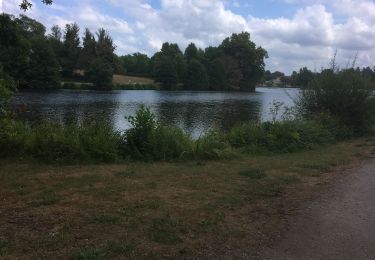 Trail Walking Saint-Paul-lès-Dax - 2022-08-14 BALADE CAMPING DES ABESSES À U LAC DE CHRISTUS - Photo