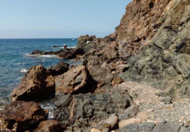 Trail Walking Carqueiranne - boucle depuis Carquierane - Photo