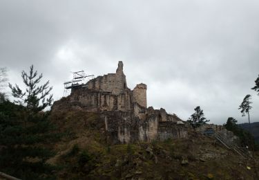 Tocht Stappen Ottrott - 2023-02-18 Vorbruck - Mt st Odile - Photo